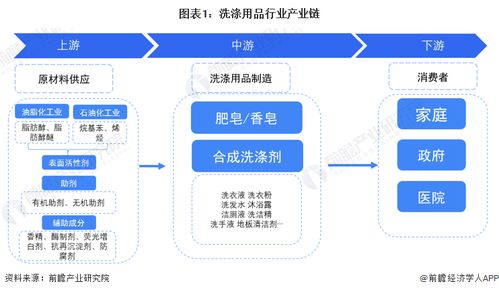 洗滌用品產(chǎn)業(yè)鏈全景梳理與區(qū)域布局分析 互聯(lián)網(wǎng)接入服務(wù)的融合與機(jī)遇